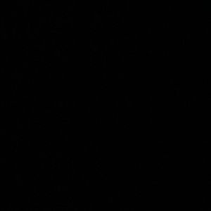 Meet your Posher, Jayden